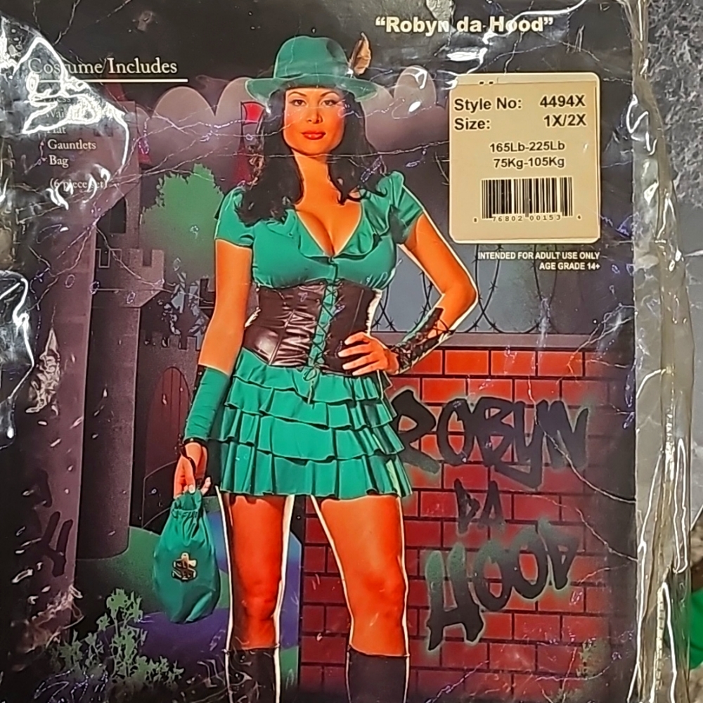 DREAMGIRL "ROBYN DA HOOD" COSTUME - Picture 4 of 4
